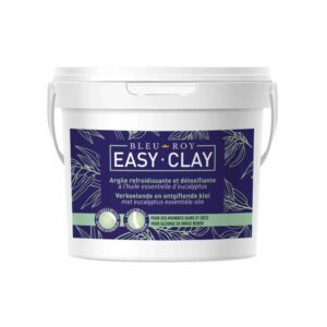 Easy-Clay 4KG - Bleu Roy - Image 1