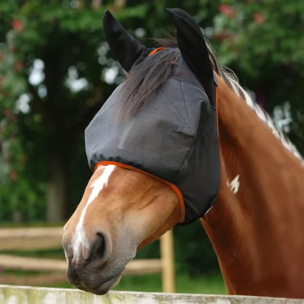 fr-midi-with-ears-black-square-web