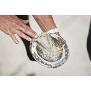 Pediplast argile pour sabots - Ravene - Image 2