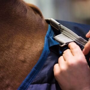 Liner 200gr - Horseware - Image 2