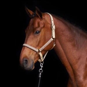 Licol Nena Tan - HV Polo - Image 1