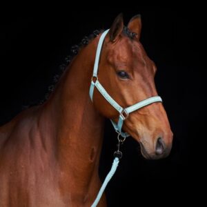 Licol Nena ciel aquatique - HV Polo - Image 1