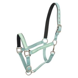 Licol Nena ciel aquatique - HV Polo - Image 2